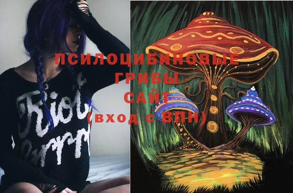 синтетический гашиш Алексеевка