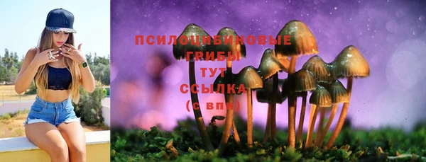 синтетический гашиш Алексеевка