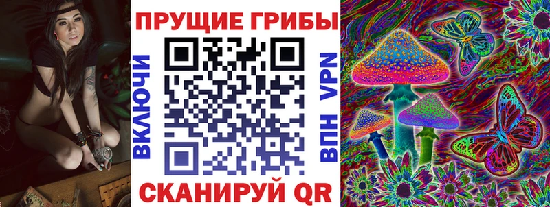 как найти закладки  Темрюк  Псилоцибиновые грибы мицелий 